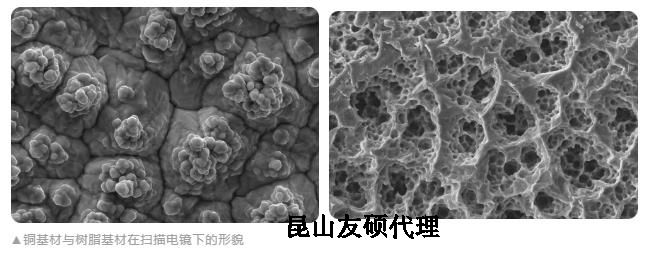 无锡蔡司无锡扫描电镜